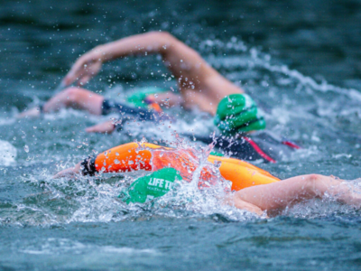 use fins to become faster in the water.